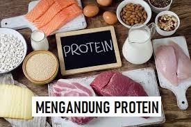 Mengandung Protein Yang Sangat Tinggi