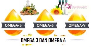 Mengandung Omega 3 dan Omega 6