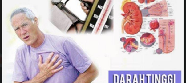 Apa Itu Hipertensi dan Faktor Pemicu Hipertensi